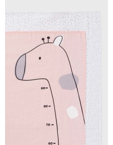 Set 2 Mussole Mussole e Bavette