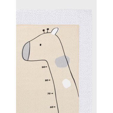 Set 2 Mussole Mussole e Bavette