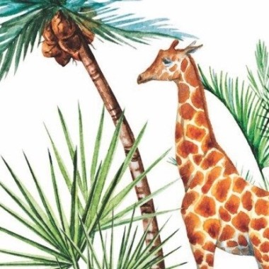 Costume Seychelles giraffe Bimba