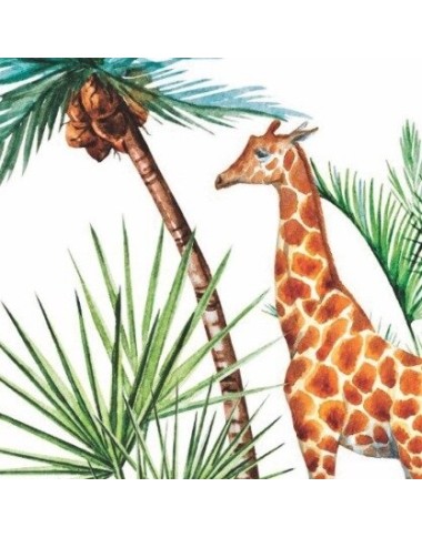 Costume Mahe giraffe Bimba