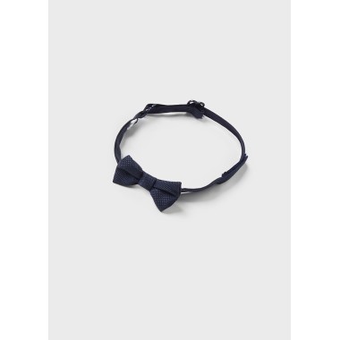 Camicia e papillon        VEDI TUTTO