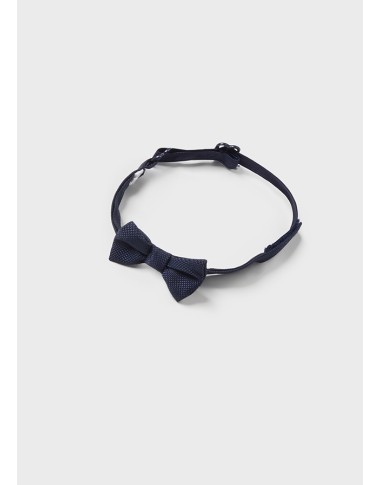 Camicia e papillon        VEDI TUTTO