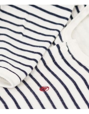 Tutina and body marine cotton