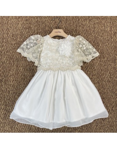 Embroidered chiffon dress