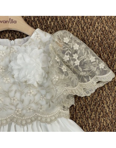 Embroidered chiffon dress