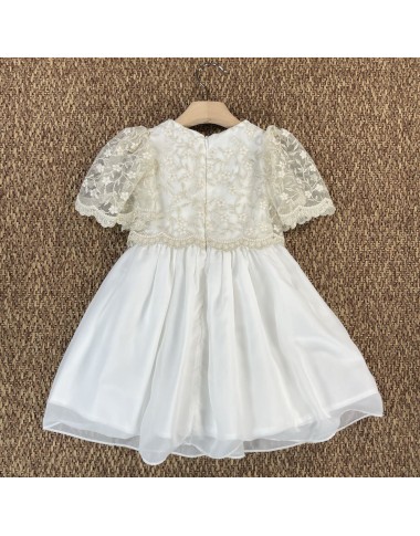 Embroidered chiffon dress