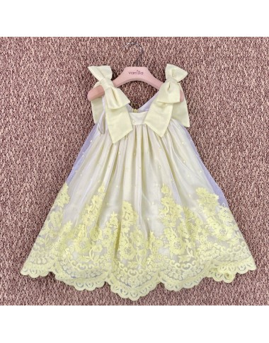 Embroidered tulle dress