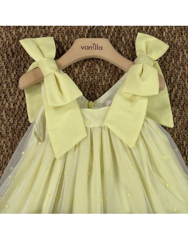 Embroidered tulle dress