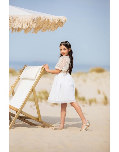 Embroidered chiffon dress