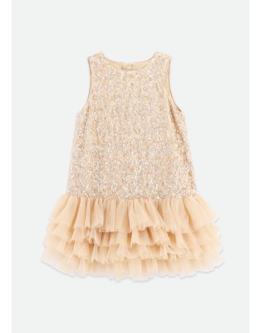 Dress paiettes and tulle