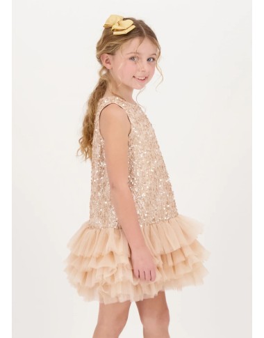 Dress paiettes and tulle