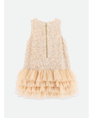 Dress paiettes and tulle