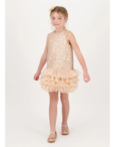 Dress paiettes and tulle