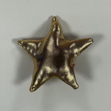 Fermaglio stella Accessori