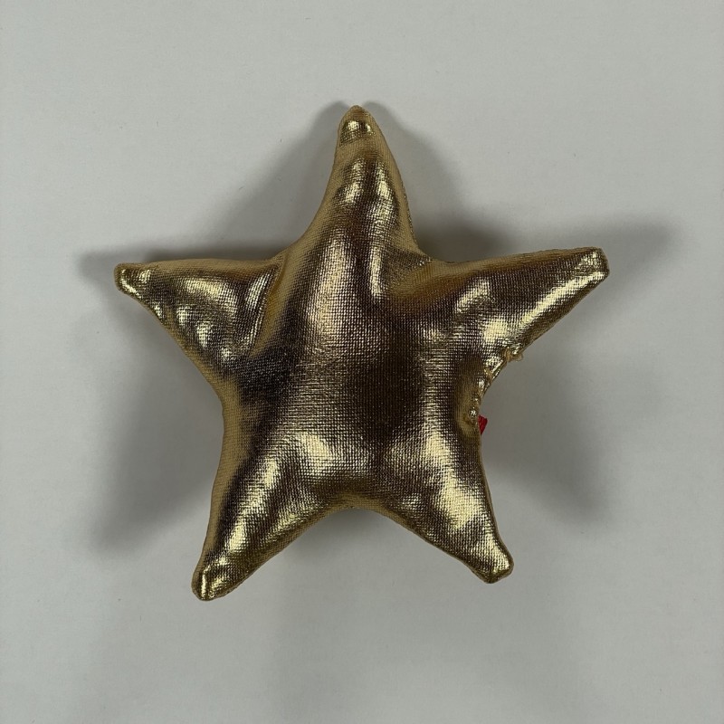 Fermaglio stella Accessori