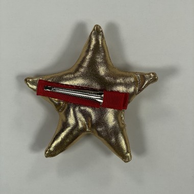 Fermaglio stella Accessori