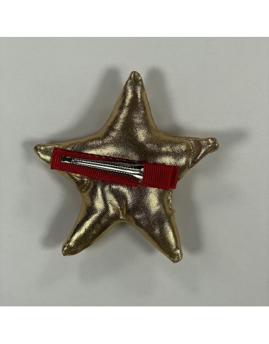 Fermaglio stella Accessori