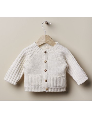 Cardigan wool first months