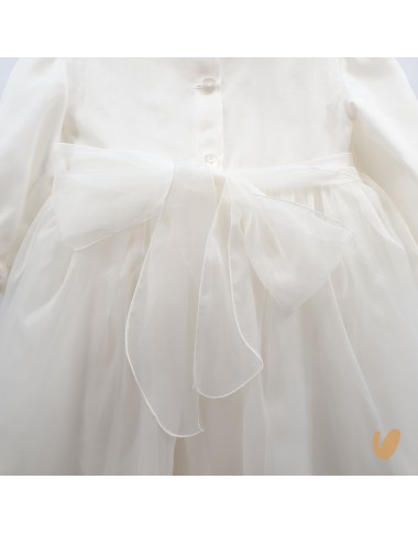 Hand embroidered silk organza dress