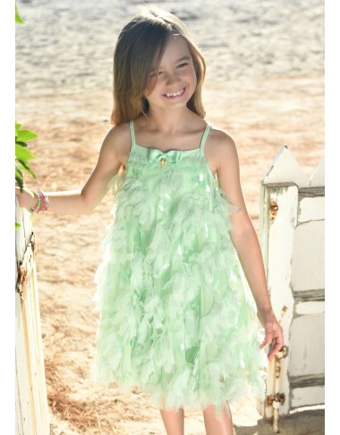 Dress in tulle and paiettes charleston