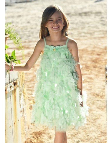 Dress in tulle and paiettes charleston