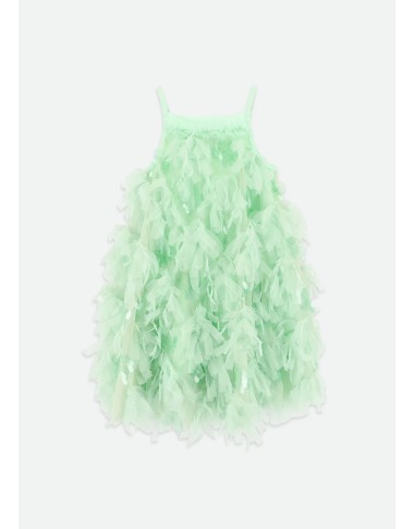 Dress in tulle and paiettes charleston