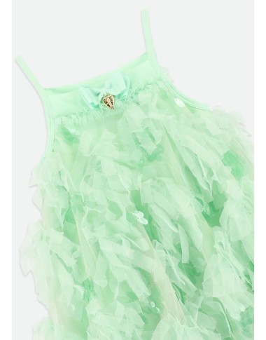 Dress in tulle and paiettes charleston