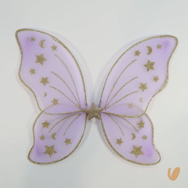 Ali stelle Festa e Lampade