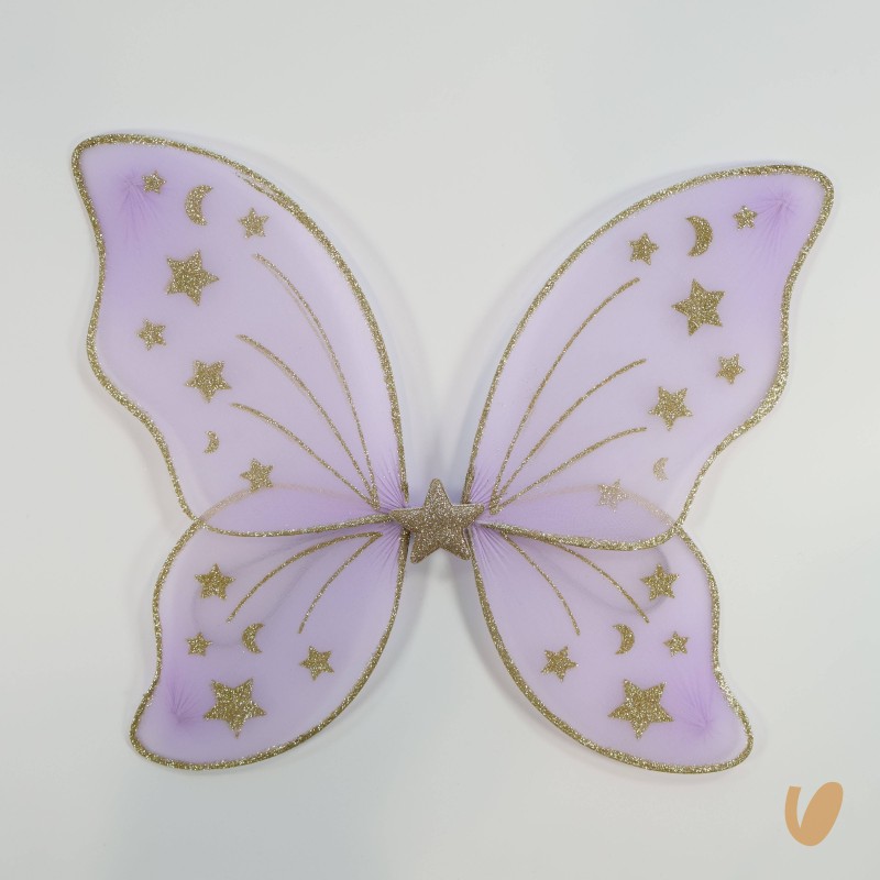 Ali stelle Festa e Lampade