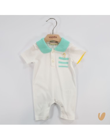 Sunset with seahorse