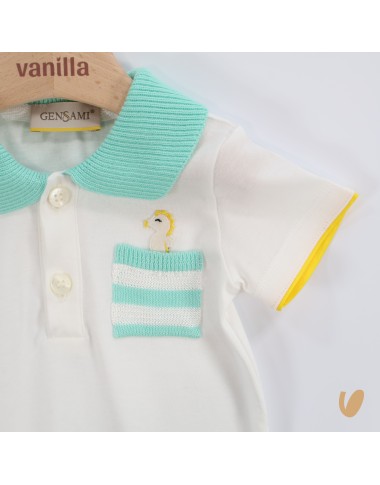 Sunset with seahorse