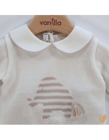 Complete elephant birth