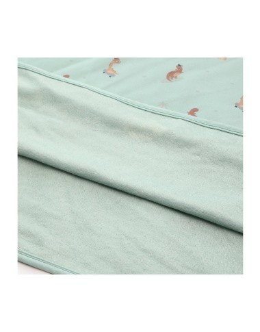 Poncho microfibra dinosauri Accessori