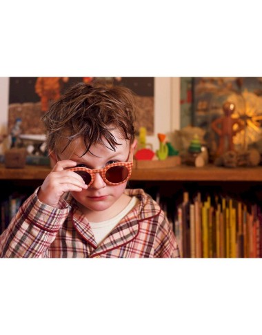 Classic polarized sunglasses