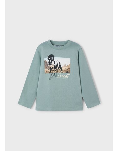 Shirt arizona cavallo Bimbo