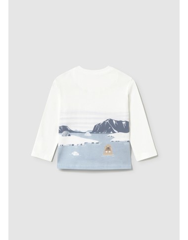 Polar shirt