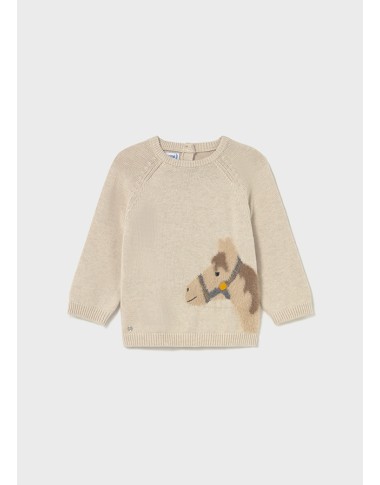 Horse sweater