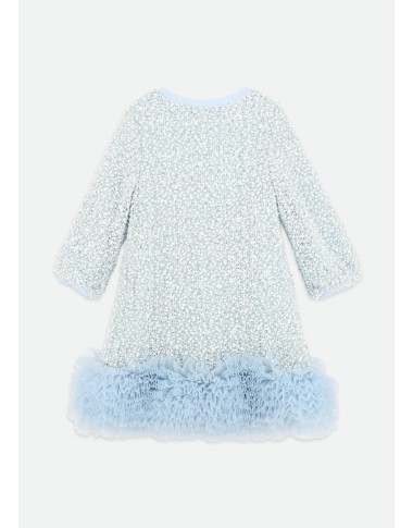 Dress in Paiettes and Tulle