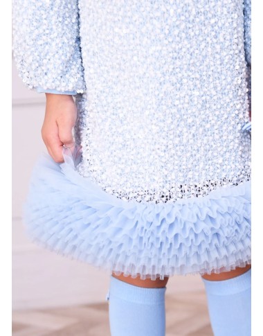 Dress in Paiettes and Tulle