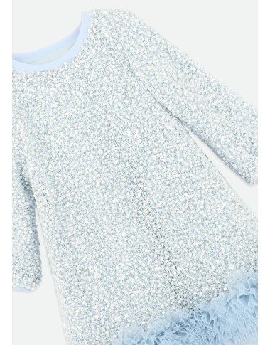 Dress in Paiettes and Tulle