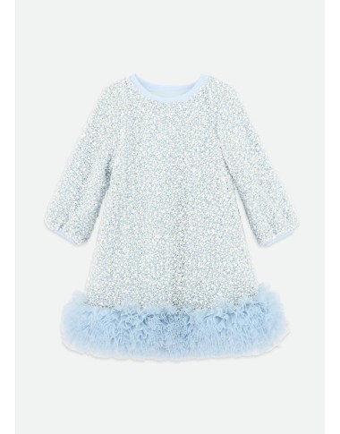 Dress in Paiettes and Tulle