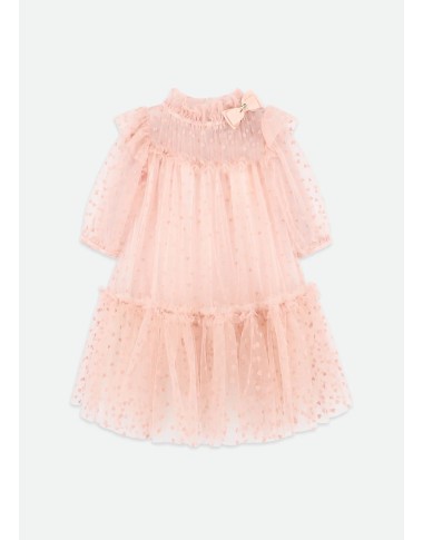 Hearts Tulle Dress