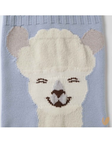 Complete alpachino wool birth