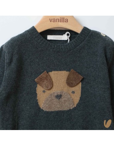 Puppy wool sweater