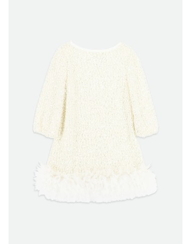 Dress in Paiettes and Tulle