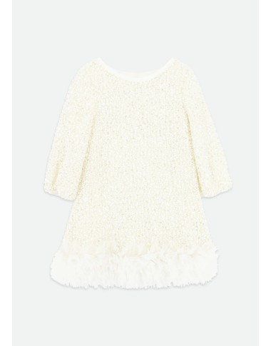 Dress in Paiettes and Tulle