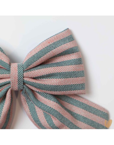 Set 2 Fermagli Velvet and Tartan