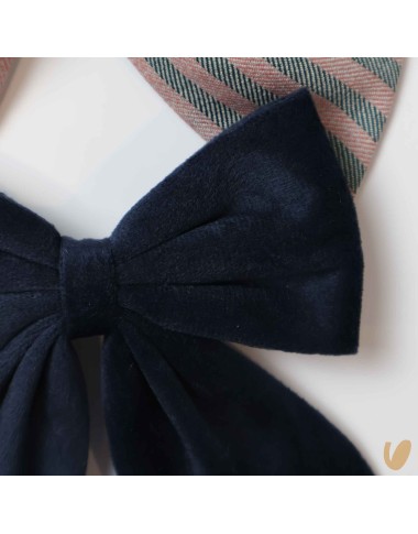 Set 2 Fermagli Velvet and Tartan