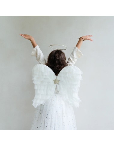 Ali angioletto Festa e Lampade