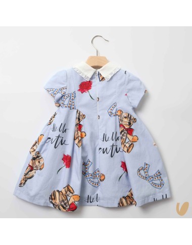Velveted bears dress